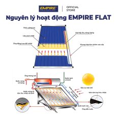 NLMT flat 5